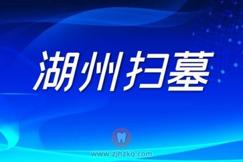 湖州清明节扫墓预约2022